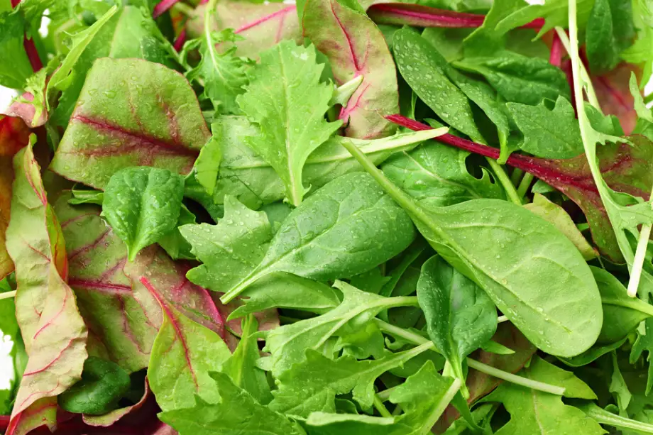 עלים ירוקים טריים בתפזורת – עשירים בערכים תזונתיים