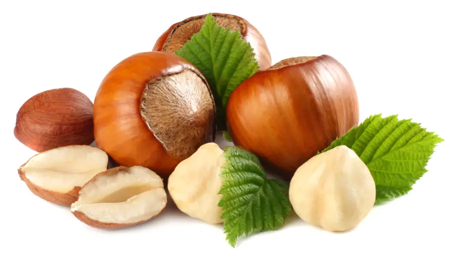 חופן אגוזי לוז טריים וטבעיים על רקע לבן – מזון טבעי מזין