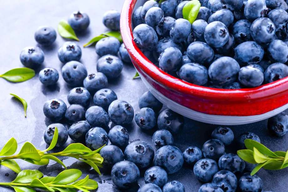 אוכמניות טריות בקערה ובתפזורת על שולחן