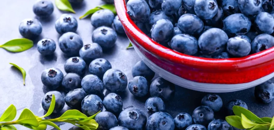 אוכמניות טריות בצלחת ועל שולחן – אוכמניות ערכים תזונתיים