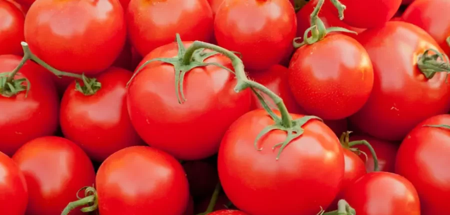 עגבניות בערימה – תמונה לעמוד ערכים תזונתיים